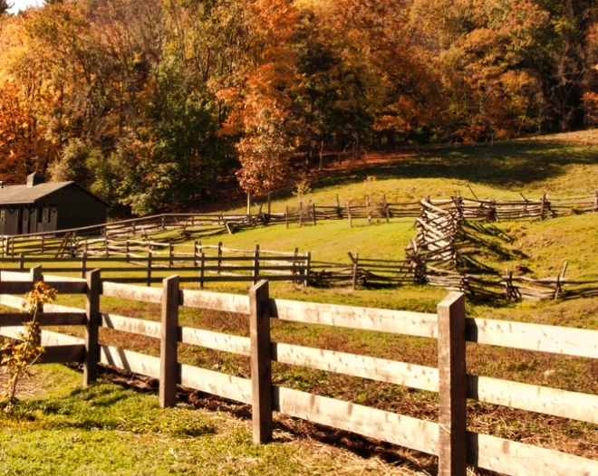 Rocky & Rob's Fencing