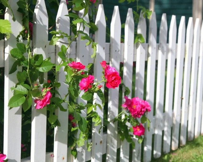 Rocky & Rob's Fencing 1